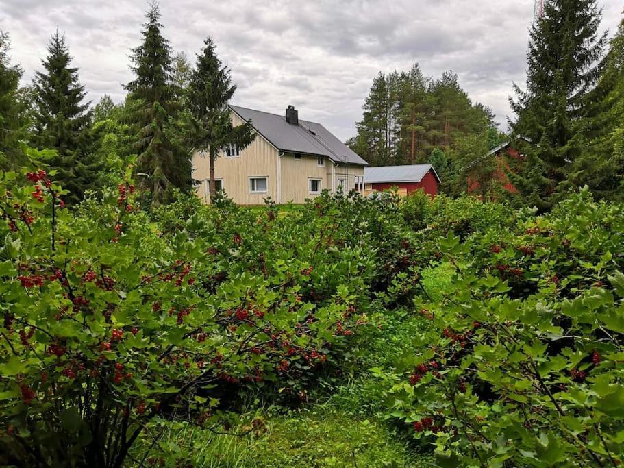 Villa Mukava Mummonmoekki Maaseudun Rauhassa à Koivu Extérieur photo