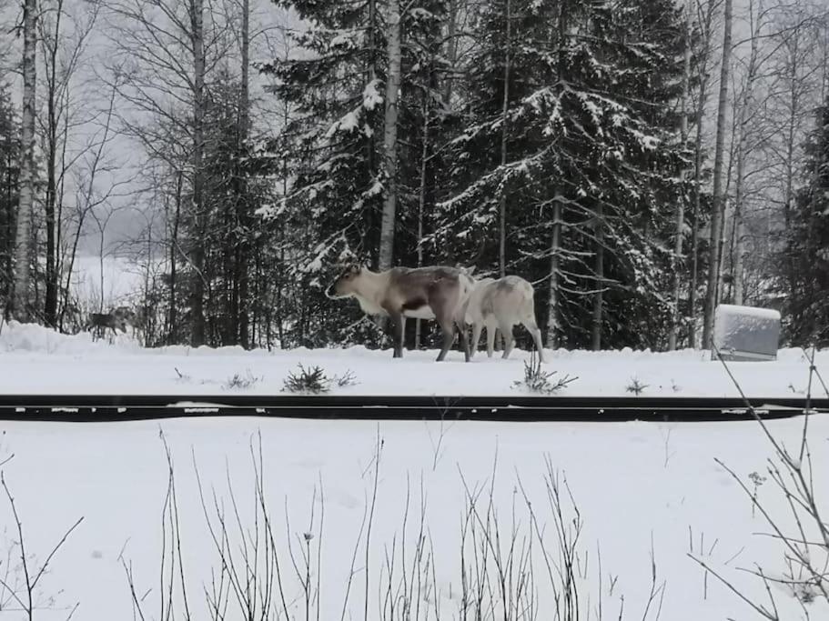Villa Mukava Mummonmoekki Maaseudun Rauhassa à Koivu Extérieur photo