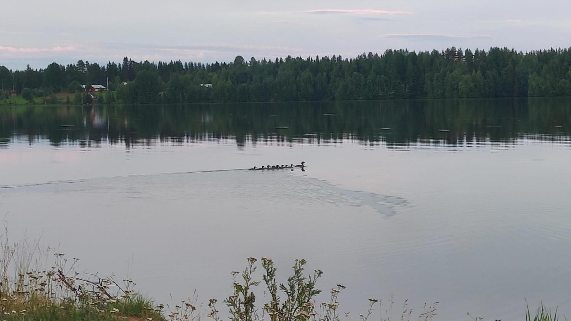 Villa Mukava Mummonmoekki Maaseudun Rauhassa à Koivu Extérieur photo